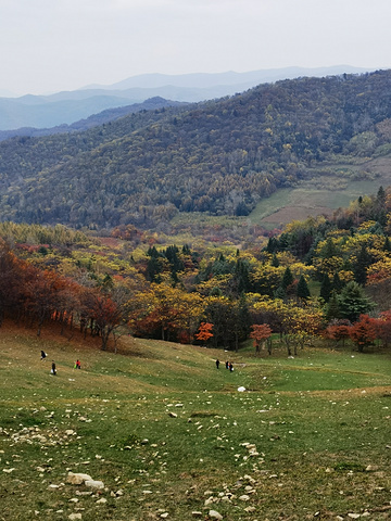 "秋天的色彩无需滤镜_长白山溪谷景区"的评论图片