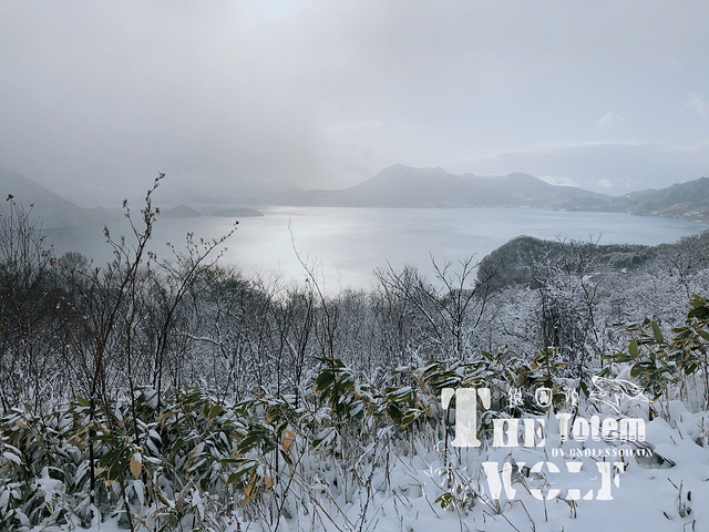 "洞爷湖（Touyako）日本北海道西南部淡水湖，在内浦湾附近，支笏洞爷国立公园的一部分，亦称破..._洞爷湖"的评论图片