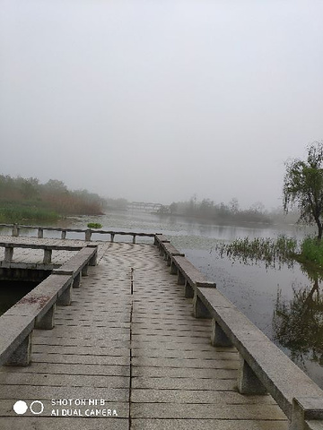 "_洋湖湿地公园"的评论图片