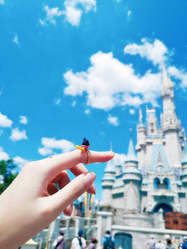 华特迪士尼世界