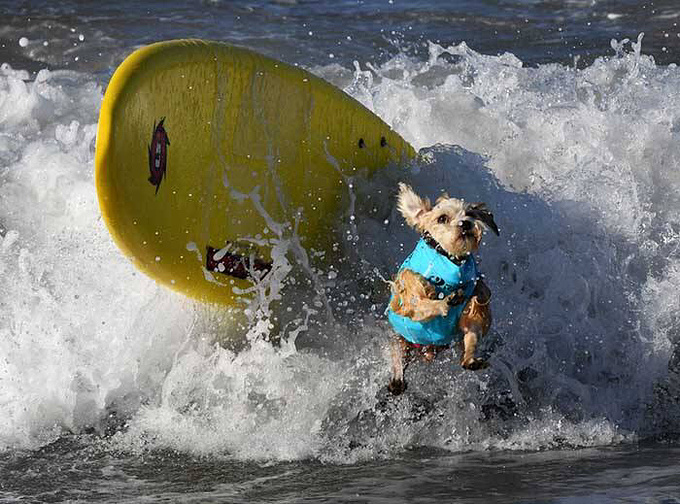 冲浪你怎么这么有趣06