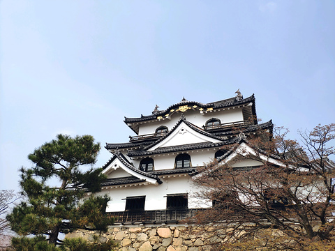 21彦根城 旅游攻略 门票 地址 问答 游记点评 琵琶湖旅游旅游景点推荐 去哪儿攻略