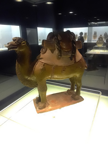 "一次略有失望的博物馆之旅_上海博物馆"的评论图片