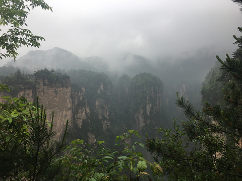 袁家界景区旅游景点攻略图