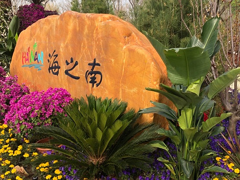 海南园(北京世界园艺博览会)旅游景点图片