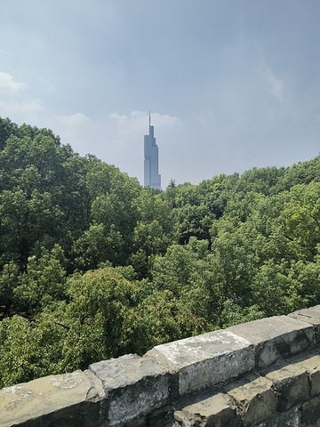 "不得不说，南京景点门票价格太暖心了❤️。远观南京最高——紫峰大厦，历史与当下的融合_南京台城"的评论图片