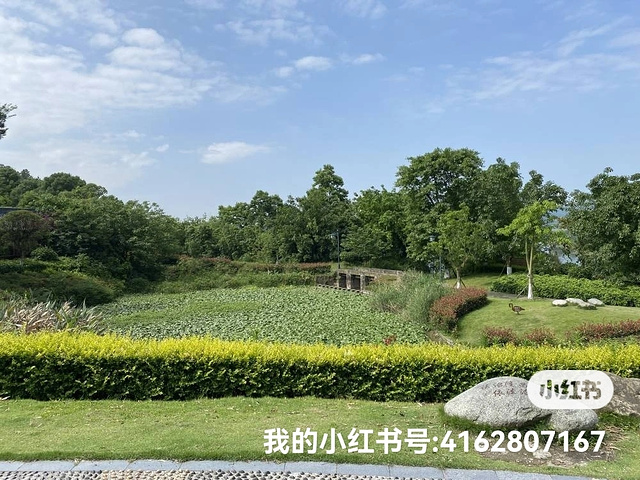 "孔子公园：孔子文化公园是古宇湖景区一处必去的地方 ，步入眼帘的就是这座高达的青铜孔子塑像，让人..._古宇湖北入口湿地公园"的评论图片