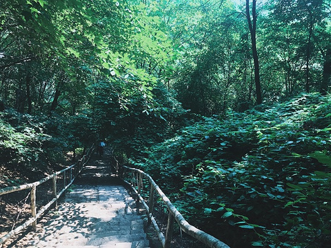 香炉山国家森林公园旅游景点攻略图