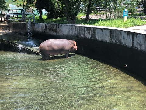 秦岭野生动物园旅游景点攻略图