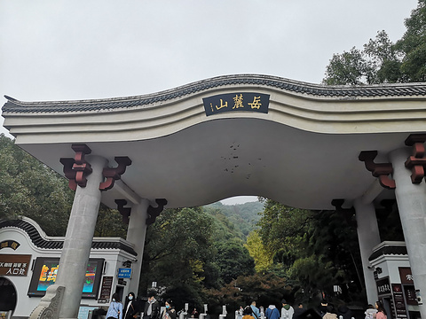 岳麓山旅游景点攻略图