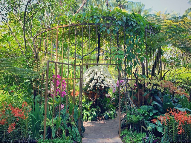 "新加坡小众旅游景点，免费入园的植物园_新加坡"的评论图片