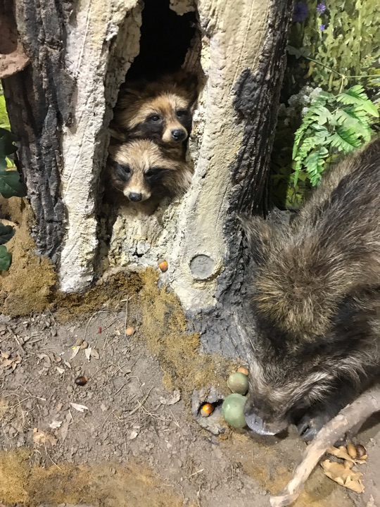 哈巴罗夫斯克考古博物馆