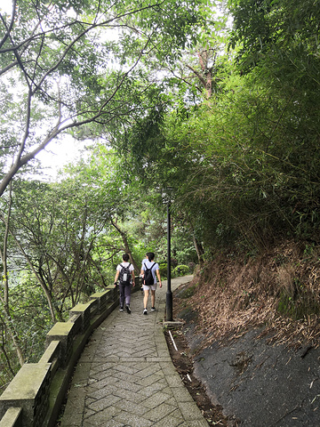 "那就开始徒步下山，看到麻姑仙境，准备去看看。日出🌄没看到，只好顶着大风前往祝融峰。五岳收集中，耶✌_南岳衡山风景名胜区"的评论图片