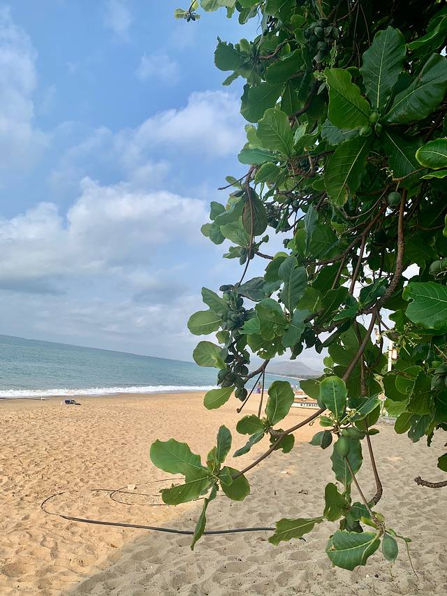 天涯热带海洋动物园