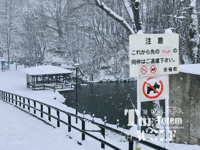 "名水公园是羊蹄山的代表,天然涌出的泉水，涌出量一天有1440吨,水质纯净清凉,已列入日本百选名水之林_羊蹄山"的评论图片