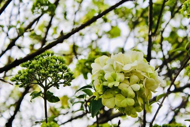 龟山公园-铁门关