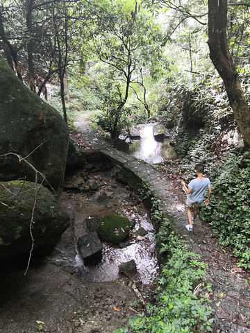 "那就开始徒步下山，看到麻姑仙境，准备去看看。日出🌄没看到，只好顶着大风前往祝融峰。五岳收集中，耶✌_南岳衡山风景名胜区"的评论图片