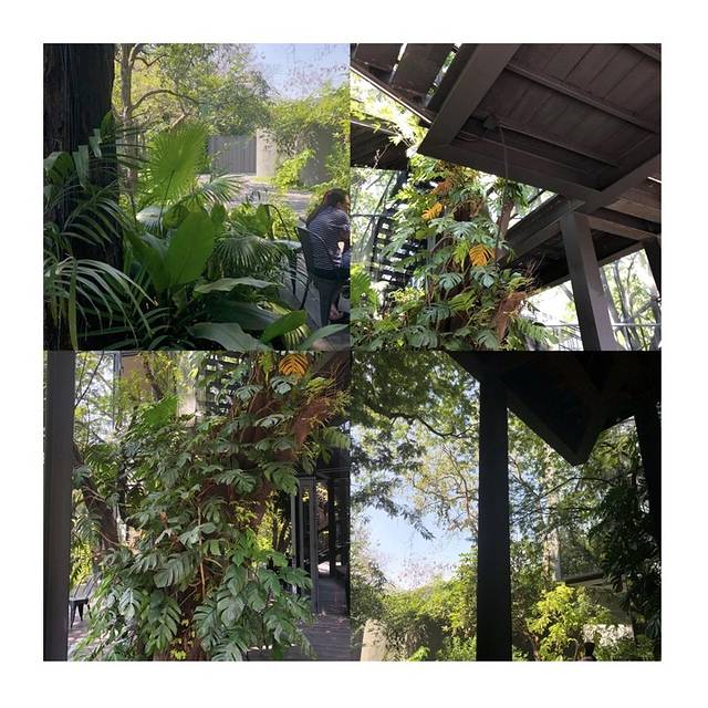 Li-Bra-Ry - Naiipa Art Complex