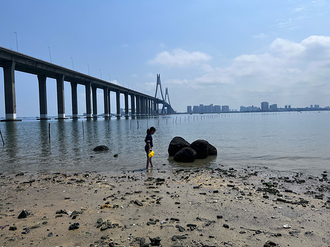 中澳友谊花园旅游景点攻略图