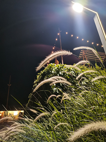 "超有感觉的。哇咔咔，超喜欢这个草。夜景_恩雅音乐艺术餐厅(秋长谷里店)"的评论图片
