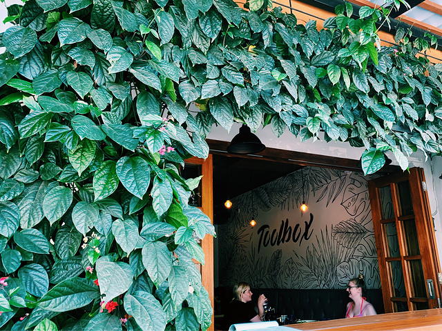 "✨巴厘岛探店｜喝咖啡吗，假装在森林的那种_toolbox restaurant"的评论图片
