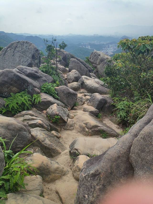 金面山亲山步道