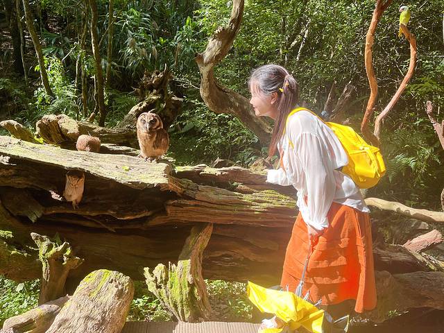 普洱国家公园犀牛坪景区