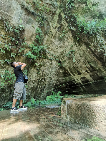 "川西竹海_川西竹海景区"的评论图片