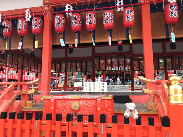 "热闹的不像神社的神社_伏见稻荷大社"的评论图片