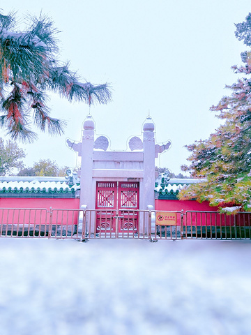 "_日坛公园"的评论图片