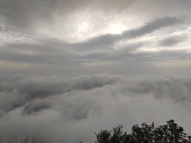 "衡山的景区交通比较好，可以坐索道和环保车，买票很容易，路线标志很清晰。_衡山"的评论图片