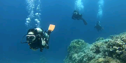 Doljo沙滩海域潜水旅游景点攻略图