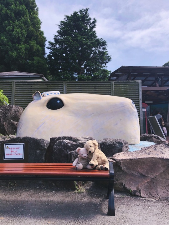 伊豆仙人掌动物园