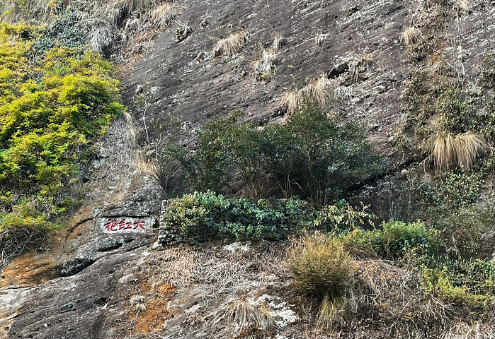 "武夷山人去不厌的虎啸岩！私藏小众景点❗️_虎啸岩"的评论图片