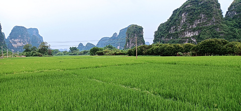 遇龙河景区旅游景点攻略图