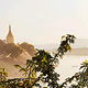 缅甸皇家植物园