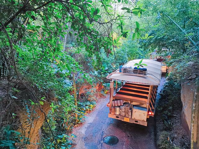 华特迪士尼世界