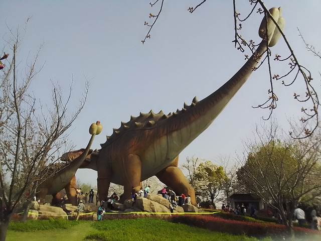 "樱花和恐龙更配哦_顾村公园"的评论图片