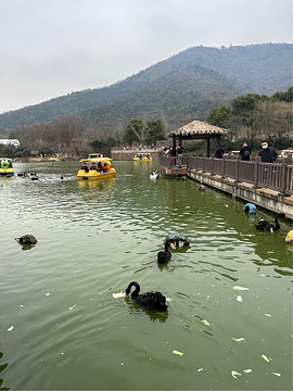 无锡动物园（太湖欢乐园）旅游景点攻略图