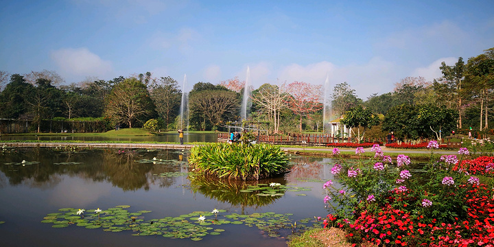 百花園_中科院西雙版納熱帶植物園