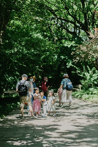 "夏日带孩子们去森林公园感受大自然的野趣_上海共青森林公园"的评论图片