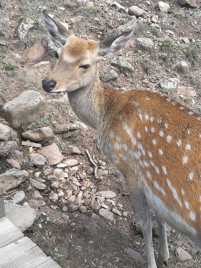 阿尔山奥伦布坎景区