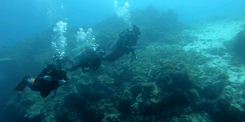 Doljo沙滩海域潜水旅游景点攻略图