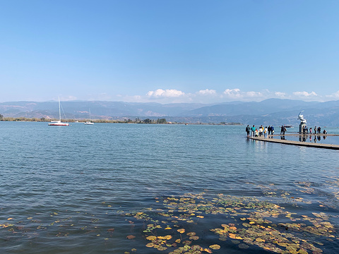 泸山旅游景点攻略图