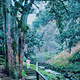 香榧森林公园