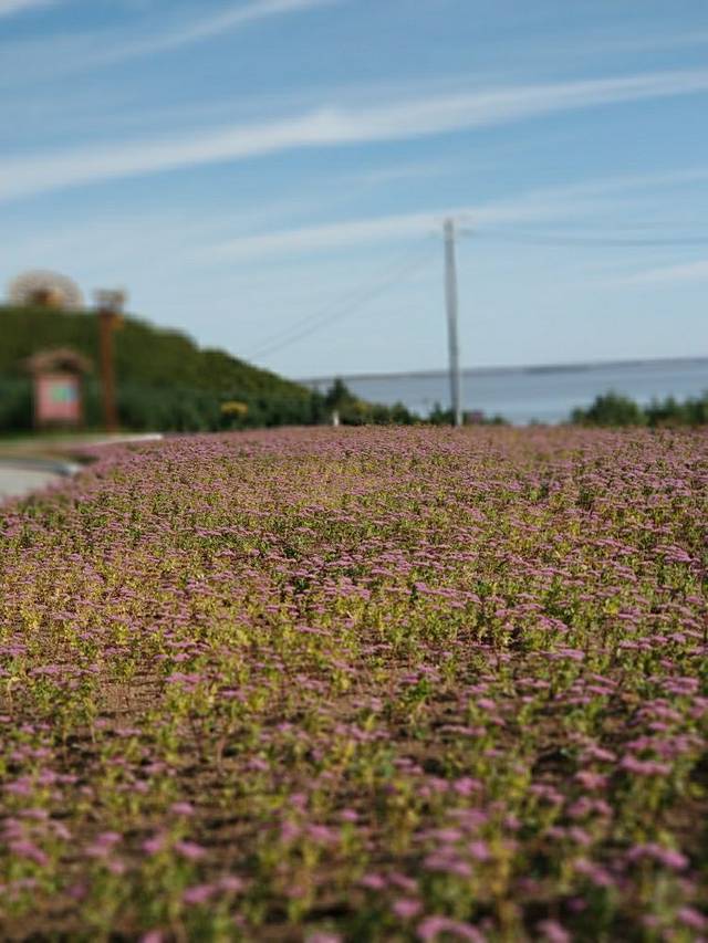 中国达斡尔民族园