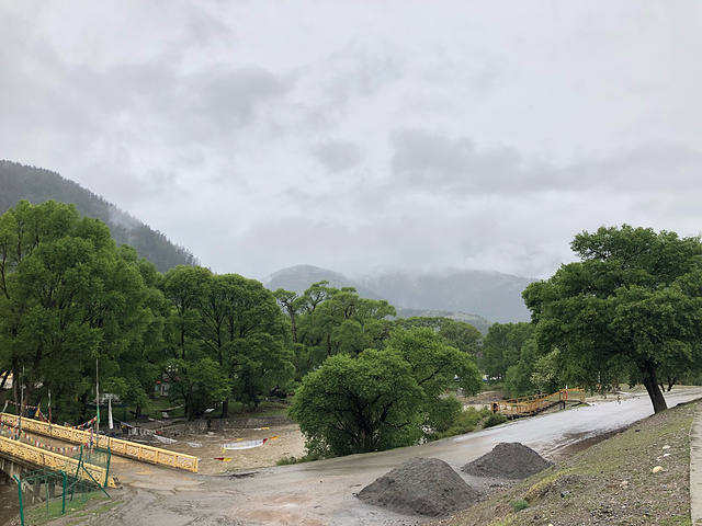 "五月天非常幸运遇到大雪纷飞，忘我欢乐，童心未泯。用完早餐，我们参观了郎木寺。路途中_郎木寺镇"的评论图片