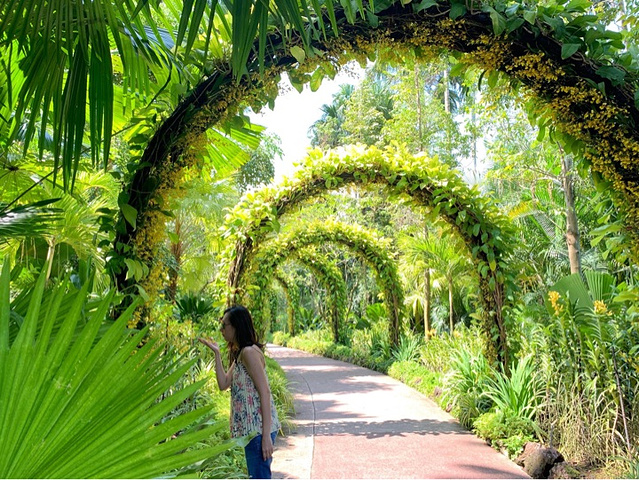 "新加坡小众旅游景点，免费入园的植物园_新加坡"的评论图片