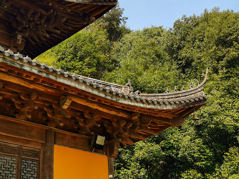 中天竺法净禅寺旅游景点图片