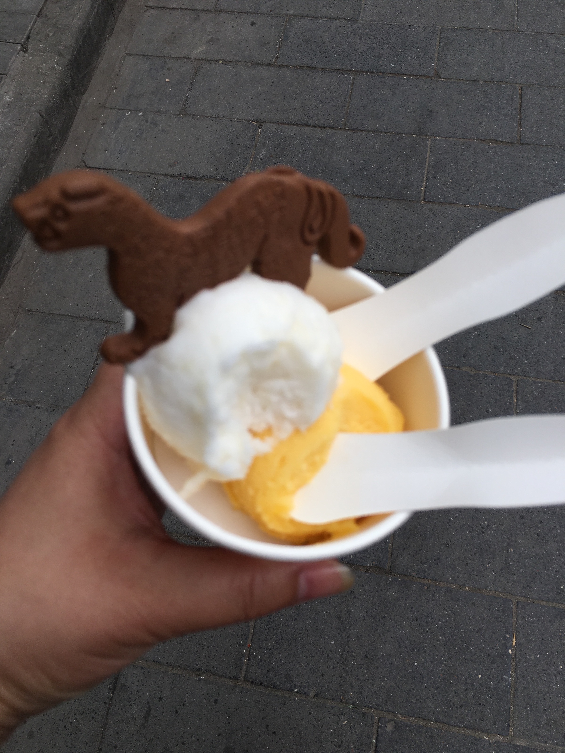 西安,常德5日游